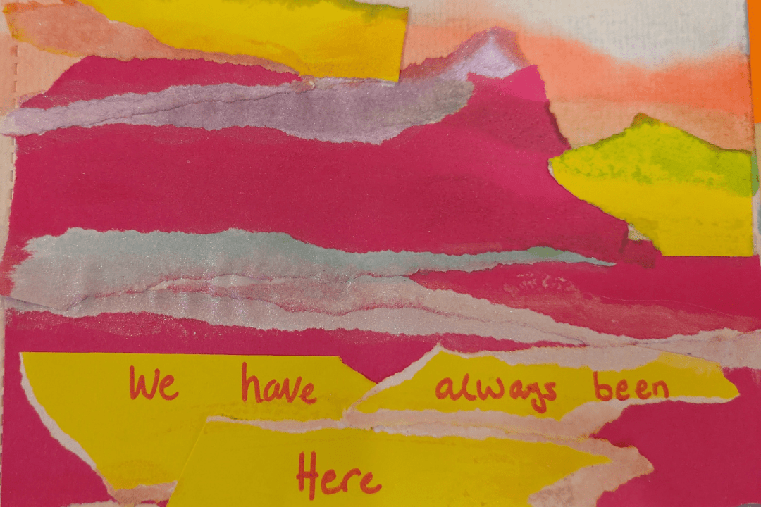 The launch and reception of Our Transcapes